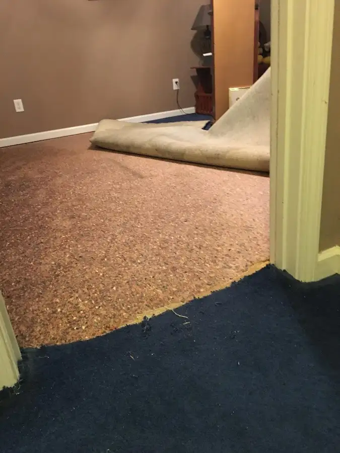 Carpet pad removal revealing water damage during Water Mitigation Services in Bradfordville