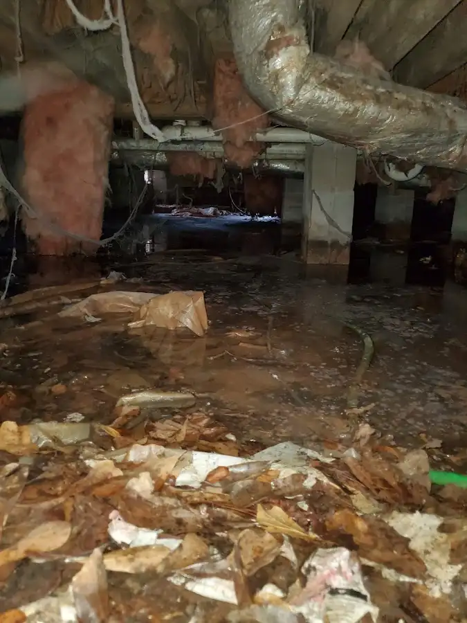 Crawl space flood assessment for Commercial Water Damage Restoration in Bradfordville
