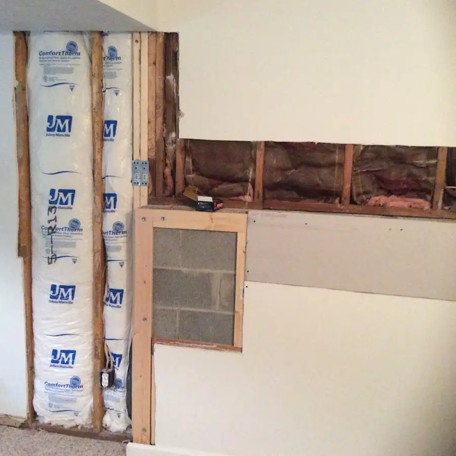 Wall insulation replacement during Odor Removal & Deodorization in Bradfordville